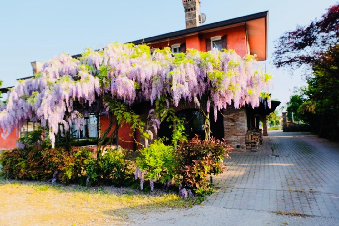 Red Fenice San Donà di Piave Zewnętrze zdjęcie
