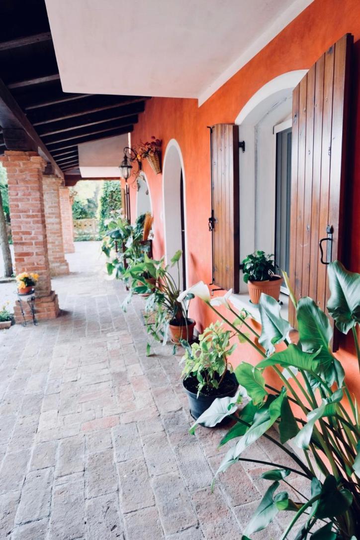 Red Fenice San Donà di Piave Zewnętrze zdjęcie